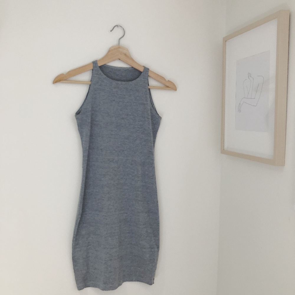 American Apparel Fitted Sleeveless Dress